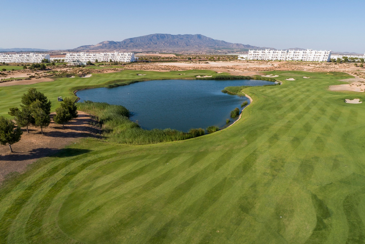 Geschakelde villa op Condado de Alhama
