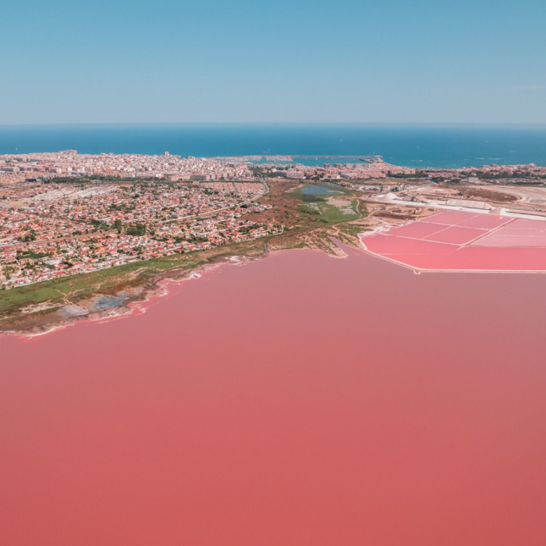 Appartement in Torrevieja_GDMS_nw_omgeving