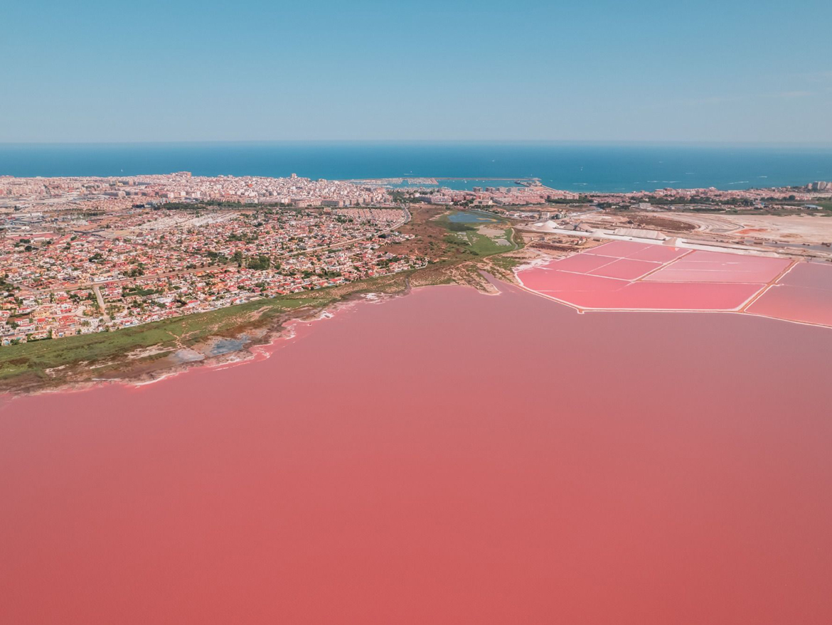 Appartement in Torrevieja_GDMS_nw_omgeving